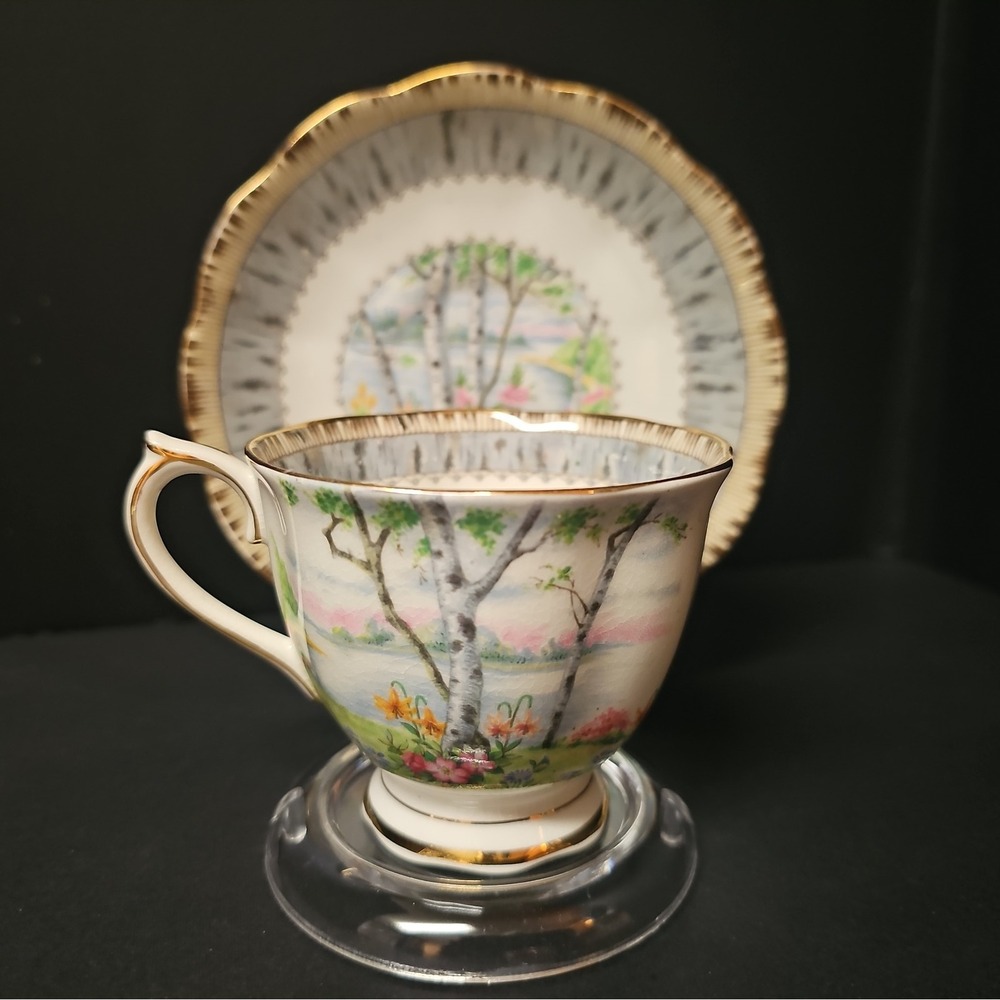Vintage Royal Albert Silver Birch Teacup & Saucer Bone China England Gold Trim